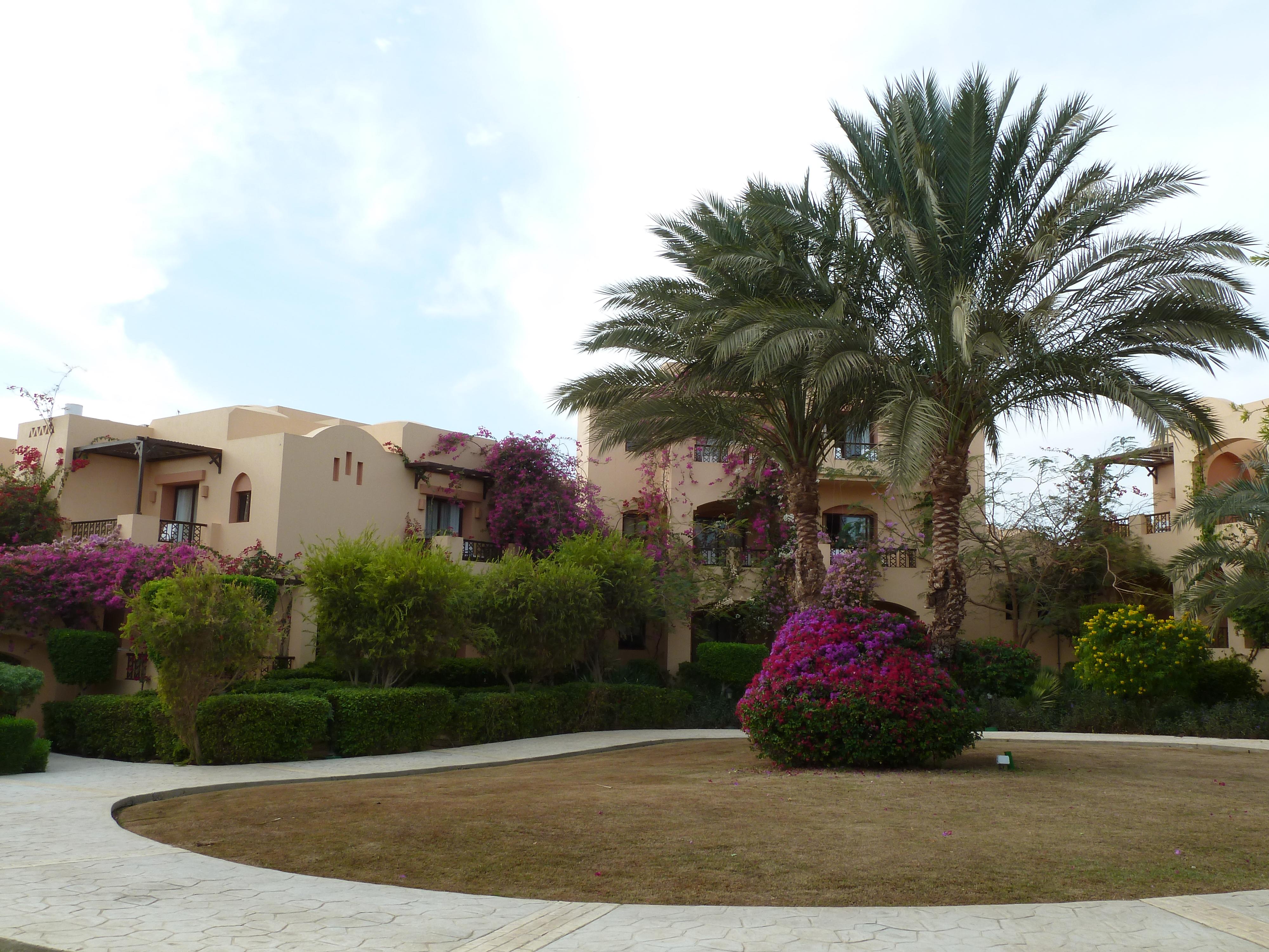 مدينة كورايا